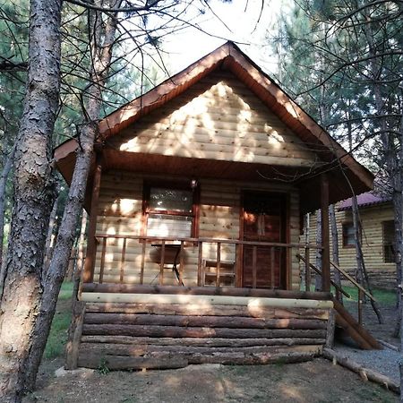 Çam Pınarı Doğa Evleri Villa Mengen Dış mekan fotoğraf